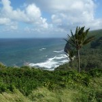 Tropical North coast