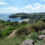 Waiheke coatline