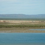 train 25% of Train